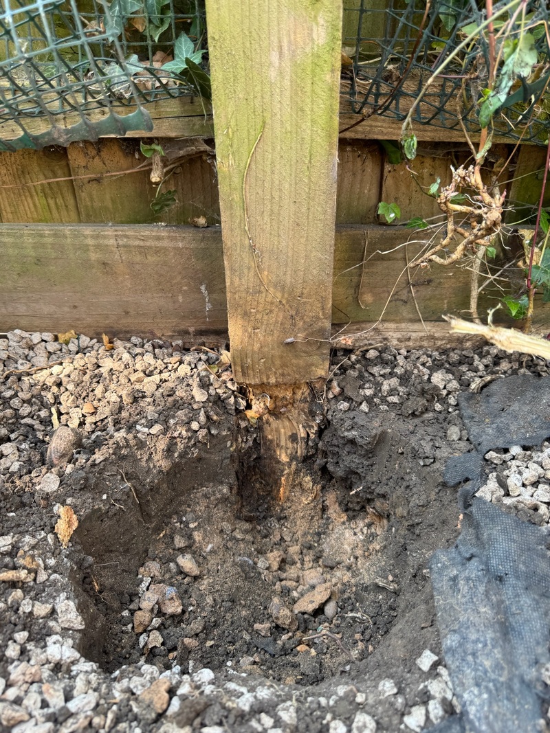 Handyman Manchester - Fence repairs